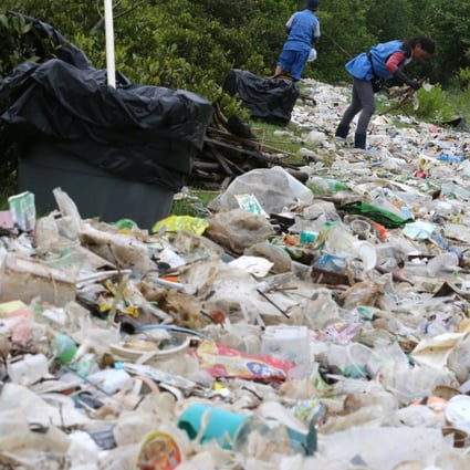 A shoreline clean-up operation at Shui Hau on Lantau Island last year. Photo: Felix Wong
