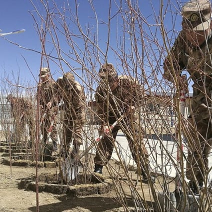 China is taking the unprecedented – and expensive – step of harnessing solar power to melt permafrost to allow trees to grow in Nagqu. Photo: Handout