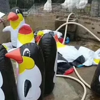 The inflatable penguins may not have been what visitors were expecting. Photo: chinanews.com