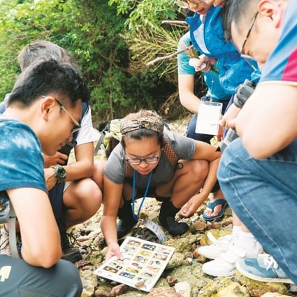 Kids of all ages learn more about the different species of insects that live in Tai Tam Tuk, Hong Kong, during the 2017 BioBlitz last month.