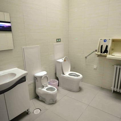 China’s tourism chief has called for a legion of public bathroom monitors to keep tabs on standards at facilities. Photo: AFP