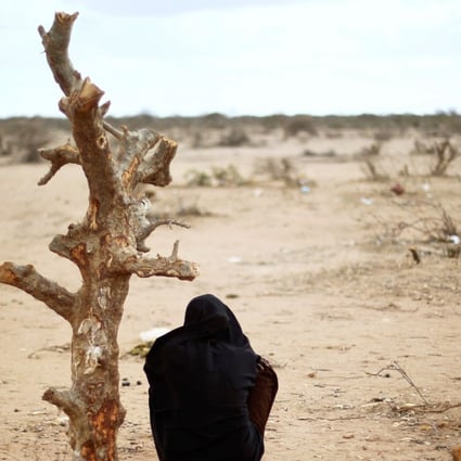 A pregnant Somali woman sits by a tree trunk outside Dadaab. Photo: AP