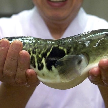 fugu liver