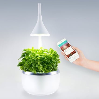 New mobile phone technologies mean even grow-your-own-food enthusiasts stuck indoors can show off their green-fingered talents