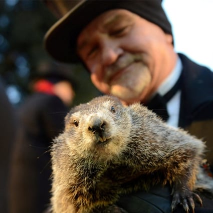Co-handler John Griffiths holds Punxsutawney Phil for the crowd gathered at Gobbler's Knob on the 132nd Groundhog Day in Punxsutawney, Pennsylvania, on Friday. Photo: Reuters