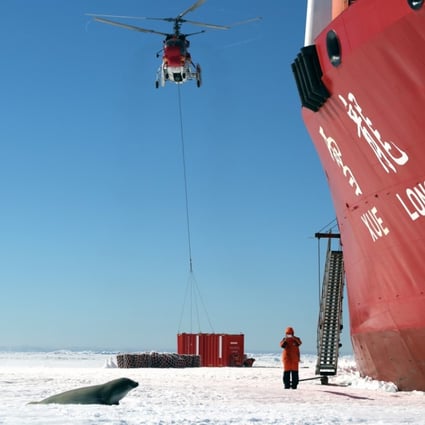 A seal draws near as the Chinese ice-breaker Xuelong unloads cargo on sea ice. Photo: Xinhua
