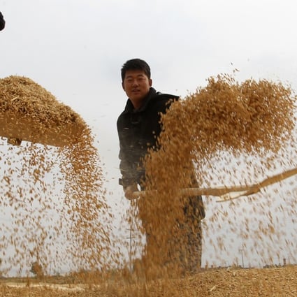 China is importing more food and leasing overseas farmland to meet growing demand as its arable land shrinks, partly due to urbanisation and pollution. Photo: Edward Wong