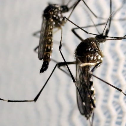 Deadliest creature on Earth: mosquitoes cause more than 1 million deaths each year. Photo: Reuters