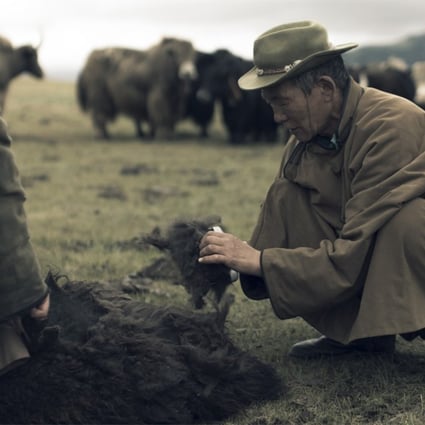 Tengri purchases yak fibres directly from co-operatives that now benefit more than 4,500 nomadic herder families. 