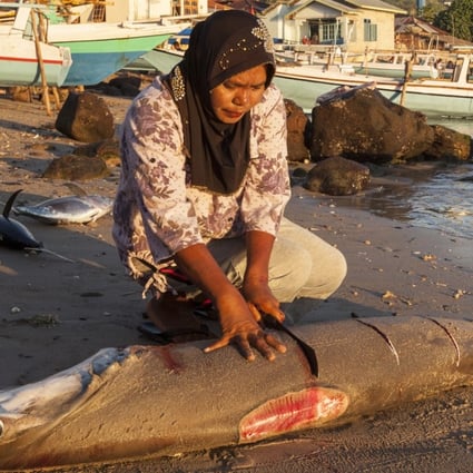 Shark finning is now popular in Indonesia because it is so profitable. Photo: Biosphoto/Nicolas Cégalerba