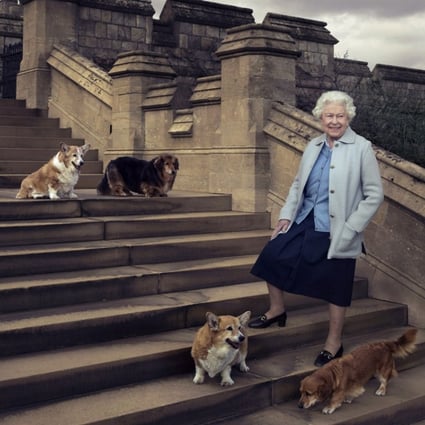 Five facts about corgis, favourite dog of Britain's Queen Elizabeth – who bade farewell to her last of the breed this week | South China Morning Post