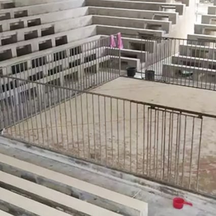 The group built a ring to stage dog fights in a rural village. Photo: news.163.com