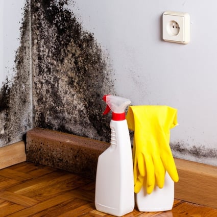 seven eco friendly zero waste ways to