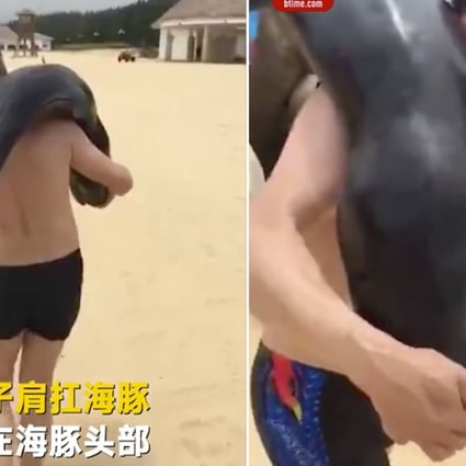 The man filmed taking the dolphin. Photo: Tencent