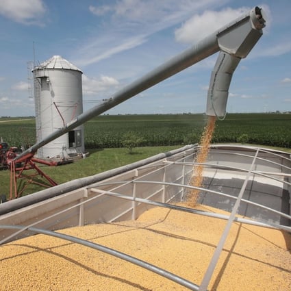 China could hit US soybeans with retaliatory tariffs if Washington follows through on threats to impose duties on Chinese goods, traders and analysts said. Photo: AFP