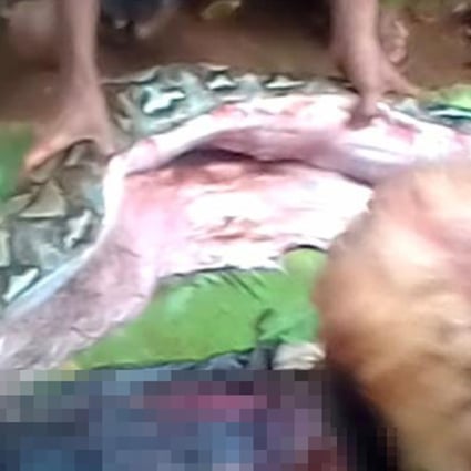 The body of 54-year-old Wa Tiba (bottom) lies next to a python after villagers cut open the seven metre (23 foot) snake on the island of Muna in Indonesia. Photo: AFP