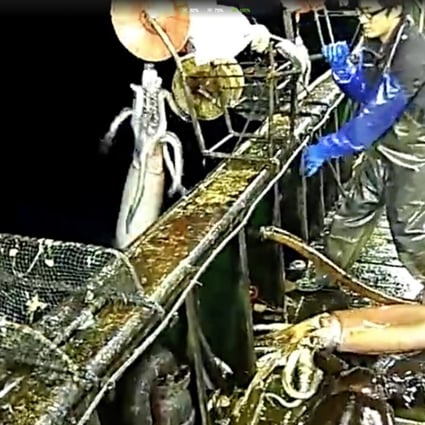 A squid jigging ship operating in international water. Photo: iqiyi.com