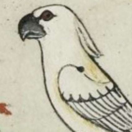 Cockatoo featured in a 13th century book once owned by Holy Roman Emperor Frederick II. Photo: Biblioteca Apostolica Vaticana