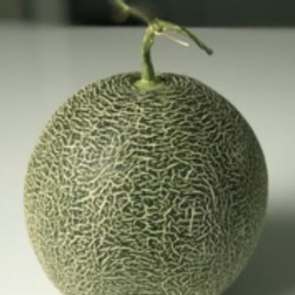 Melons are favourite targets for Japan’s yakuza, although the returns are not huge and the work difficult and tiring. File photo: Shutterstock