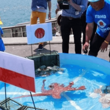 Fans watch Rabiot the Japanese psychic octopus predict Japan's final group stage game against Poland. Photo: Twitter/@Mizuhara_Kai
