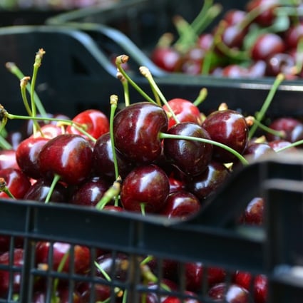 The so-called trade war between the world’s two largest economies officially started on Friday, but for Chinese importers of American cherries, the impact of the long-running dispute has been rumbling through the sector for weeks. Photo: Xinhua