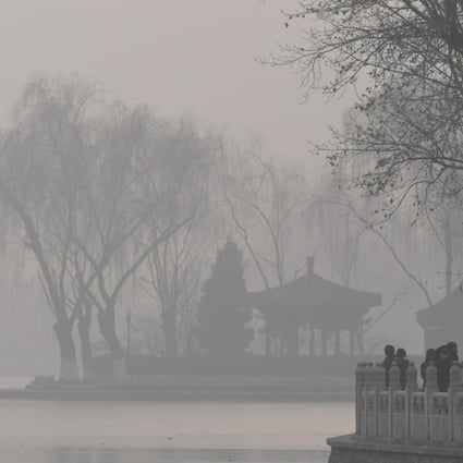 Beijing’s notorious pollution has a positive side effect on the city’s trees. Photo: AFP