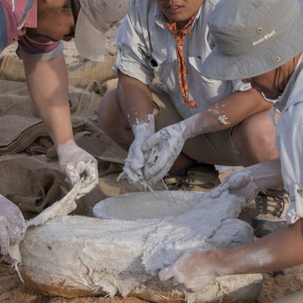 Chinzorig Tsogtbaatar and other team members use papier-mâché to protect fossils. Picture: courtesy of Mike Sakas / The Explorers Club Hong Kong Chapter