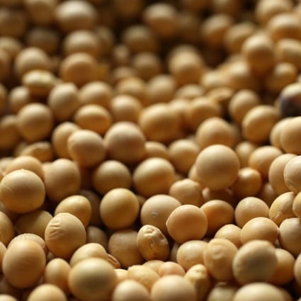 China has been the biggest buyer of US soybean but imports are now caught up in Beijing and Washington’s tit-for-tat tariffs. Photo: TNS