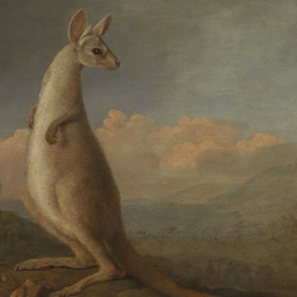 The Kongouro from New Holland (1772) by George Stubbs, commissioned after Captain James Cook returned from Australia with the word and pelts from the antipodean animal. Picture: National Maritime Museum