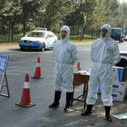 An outbreak of African swine fever has been reported in Shenyang, northeast China’s Liaoning province. Photo: Weibo