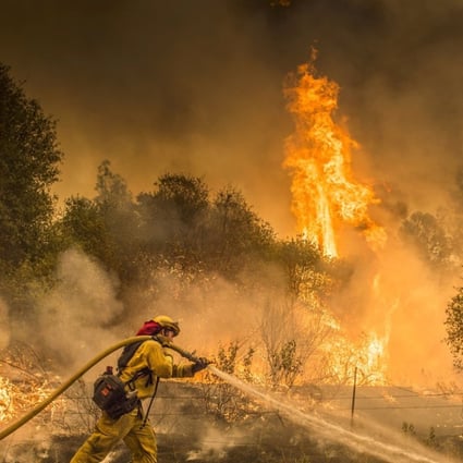 A firefighter works to limit a wildfire near the town of Igo in California on July 28. Photo: AP