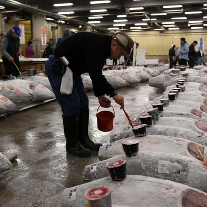 Access to the tuna auction for tourists will end on September 15. Photo: AFP