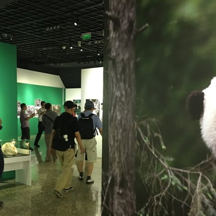 Visitors explore the China Giant Panda International Culture Week Exhibition in Beijing. Photo: Elaine Yau