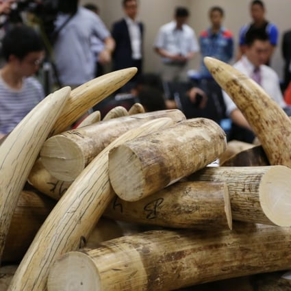 A seizure of 790kg of ivory valued at about HK$7.9 million at Hong Kong International Airport. Photo: Nora Tam