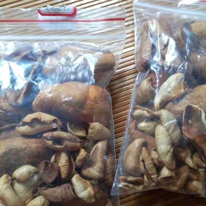 A buyer posted two bags of processed pangolin scales weighing 100 grams he bought from Pinduoduo. Photo: Handout