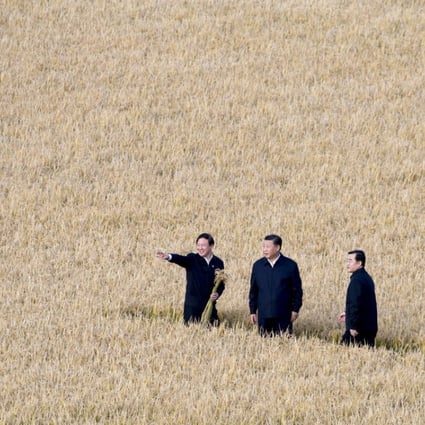 Chinese President Xi Jinping (centre), along with the general secretary of the Communist Party of China Central Committee and chairman of the Central Military Commission, visits a farm in northeast China's Heilongjiang province on September 25, 2018. Photo: Xinhua