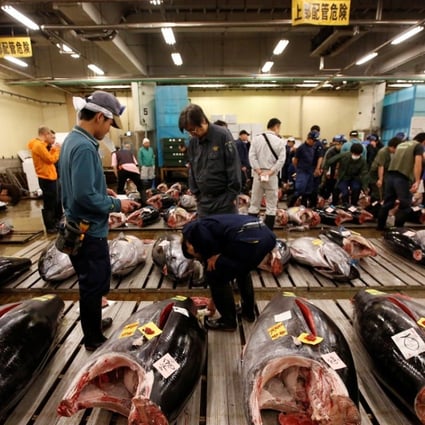 Wholesalers check the quality of fresh tuna fish at the Tsukiji fish market in Tokyo. Photo: Reuters