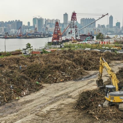 The government has piled a mass of tree waste at the former Kai Tak airport site. Photo: Winson Wong