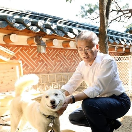 South Korean President Moon Jae-in and one of the pungsan puppies gifted to him by North Korea’s Kim Jong-un. Photo: Handout