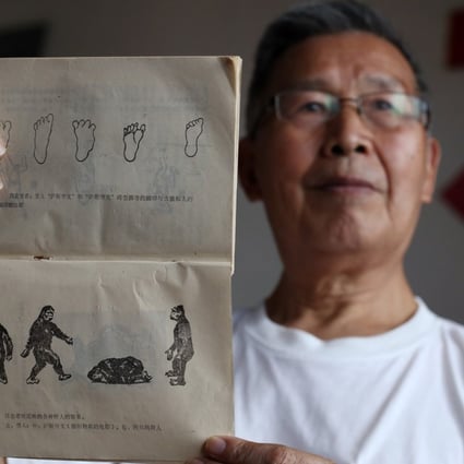 Chen Liansheng, 75, Shennongjia Forest District Communist Party Bureau then worked at the Propaganda Department of Hubei TV Station as a journalist, shows his book at home in Wuhan on the research and witness account of the Yeren in Shennongjia. Photo: Nora Tam