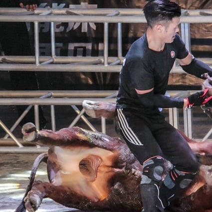 Bullfighter Ren Ruzhi fighting with a bull. Photo: Handout