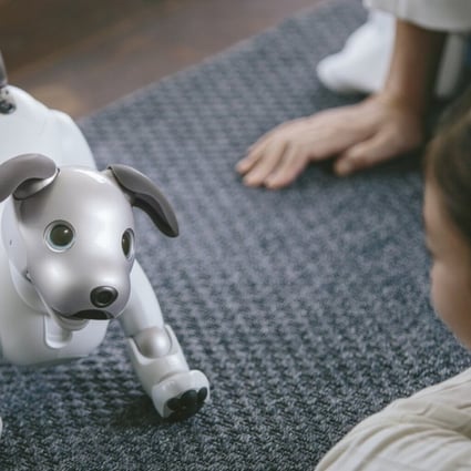 Sony’s new aibo, an artificially intelligent robo pet, can ‘learn’ over time, can apparently recognise up to 100 faces, and knows the difference between a child and an adult.