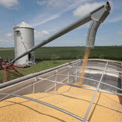 The trade war has hit American farmers at a vulnerable time as they are harvesting their largest ever crop of soybeans. Photo: AFP