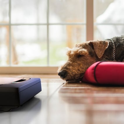 Neato Robotics’ Botvac D7 robotic vacuum cleaner, which can be programmed to clean up cat and dog hairs and dust around the house using LaserSmart mapping and navigation technology. Photo: Neato Robotics