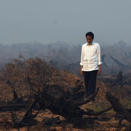 Indonesia's President Joko Widodo inspects a peat clearing that was engulfed by fire in southern Kalimantan. Photo: AFP
