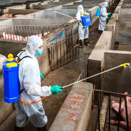 Since the first African swine fever case was confirmed in August, 18 of China’s 31 provinces and regions have been affected by the disease. Photo: ImagineChina