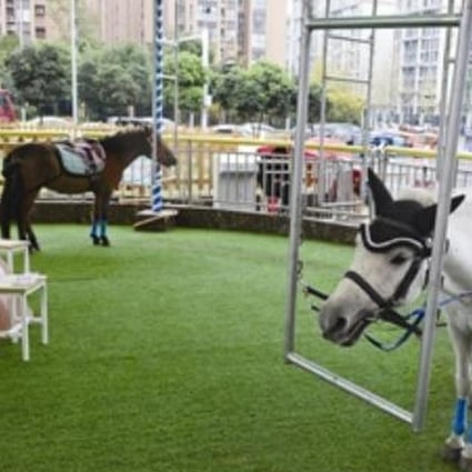 A merry-go-round using live ponies has been suspended at a shopping centre in China’s southwestern Sichuan province following an online uproar over animal cruelty. Source: Thepaper.cn