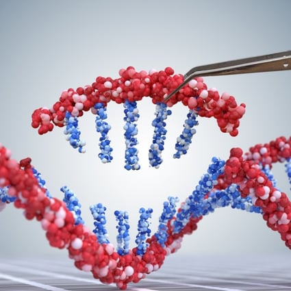 Gene modification resulting in a live birth is banned in a number of countries, including China, for safety and ethical concerns. Photo: Shutterstock