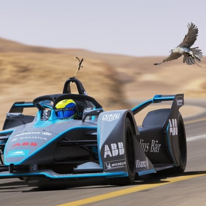Formula E: peregrine falcon or Felipe Massa – who wins in a drag race?  Watch here | South China Morning Post