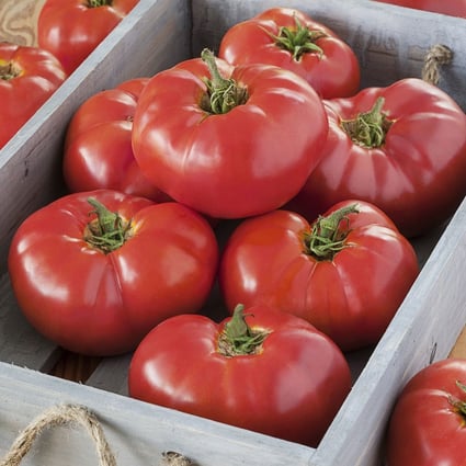 The Mediterranean diet is high in vegetables, such as tomatoes, but other popular diets minimise or cut out vegetables. Photo: Courtesy Bonnie Plants/MCT